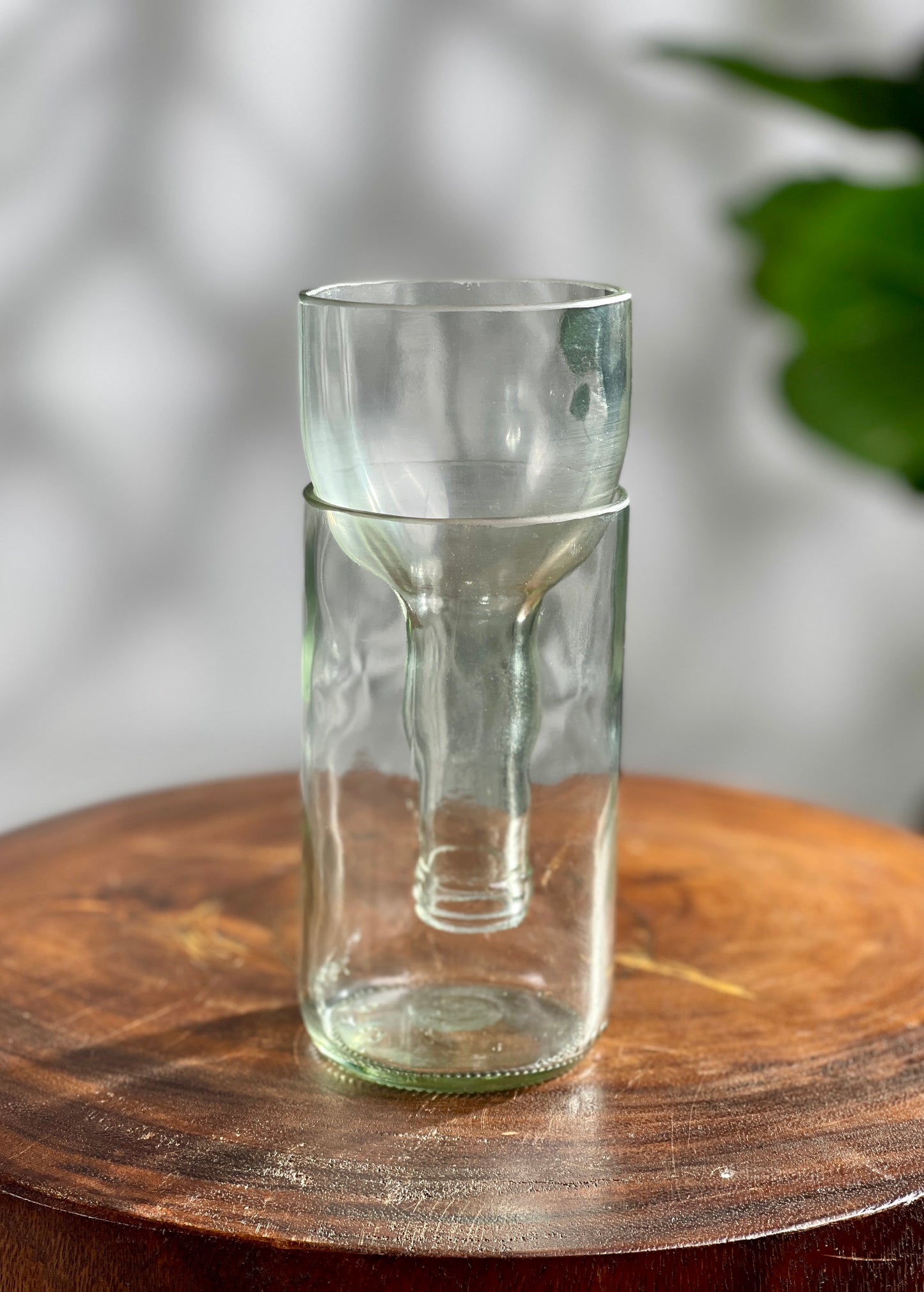 Propagation Vase