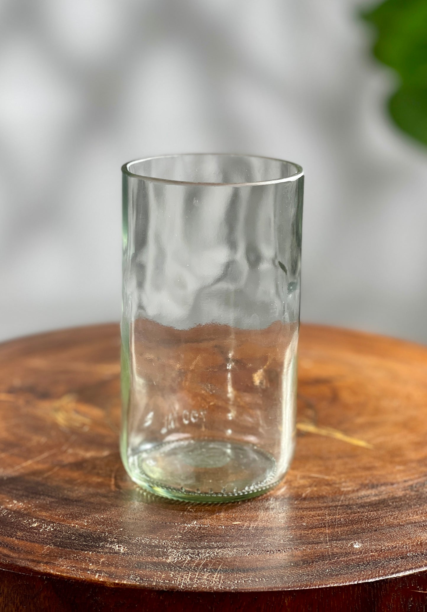 Propagation Vase