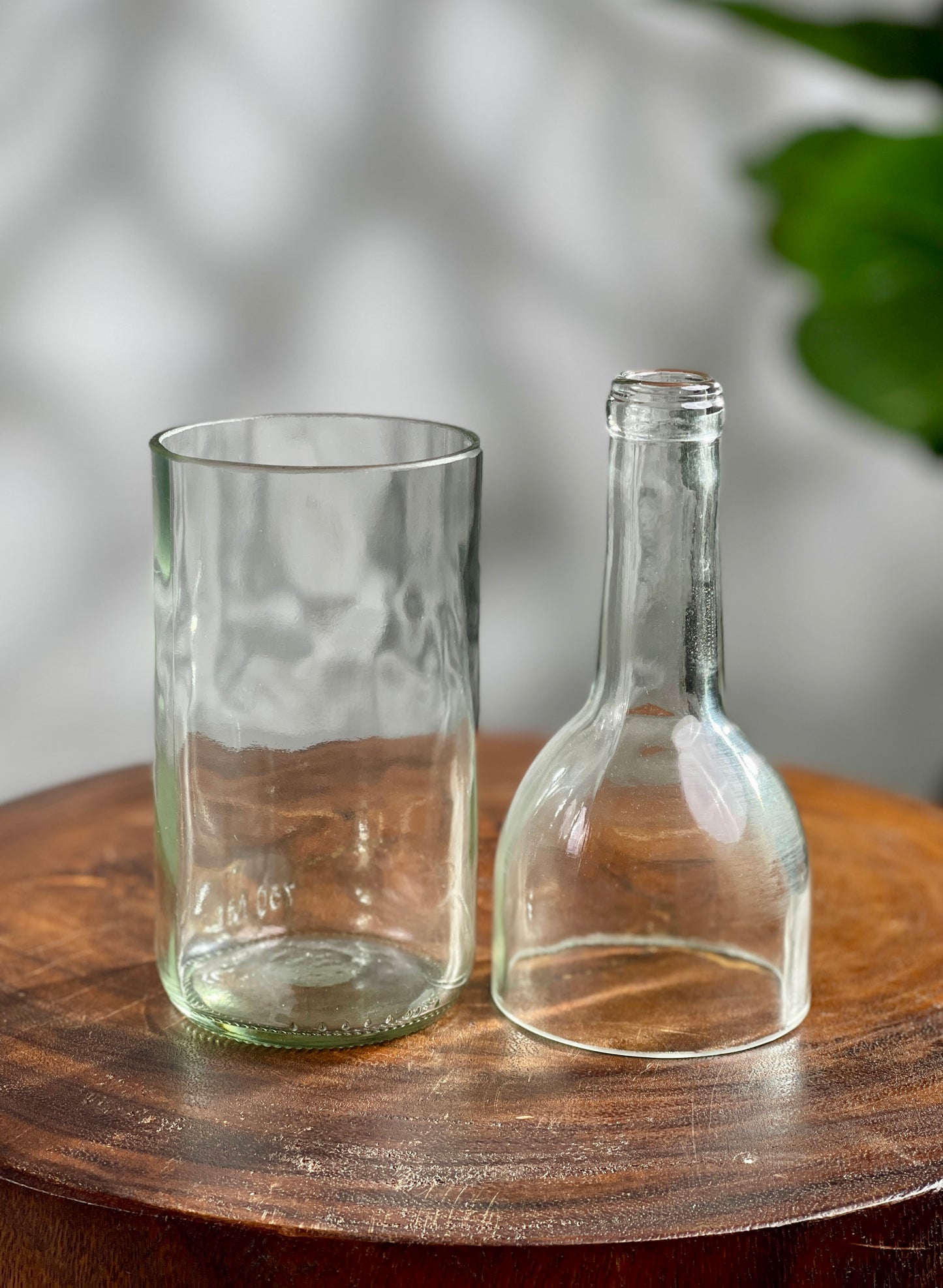 Propagation Vase