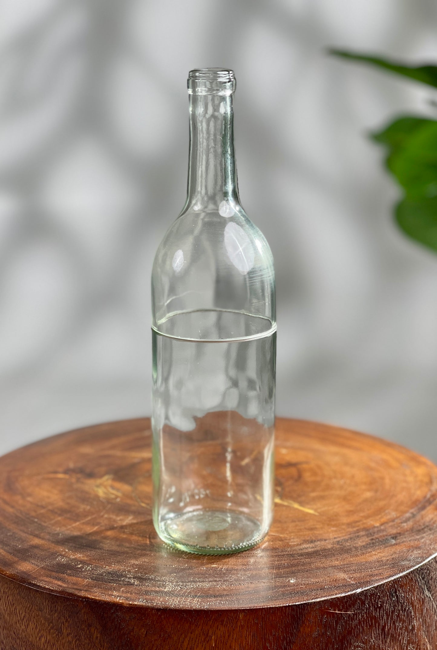 Propagation Vase