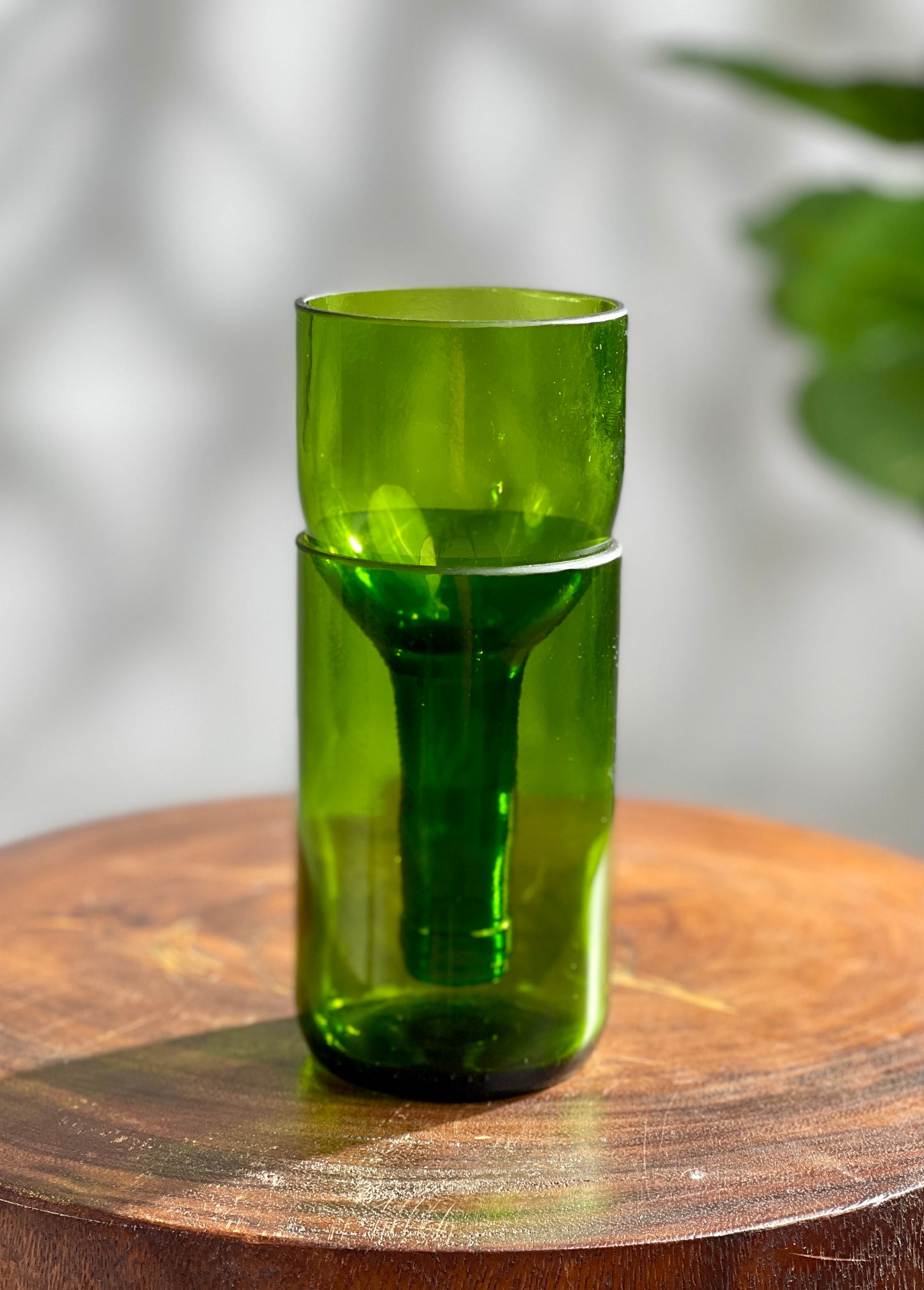 Propagation Vase