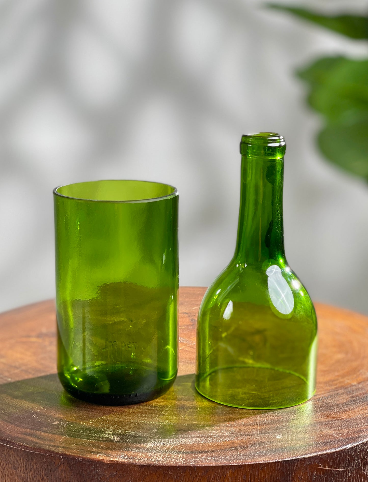 Propagation Vase
