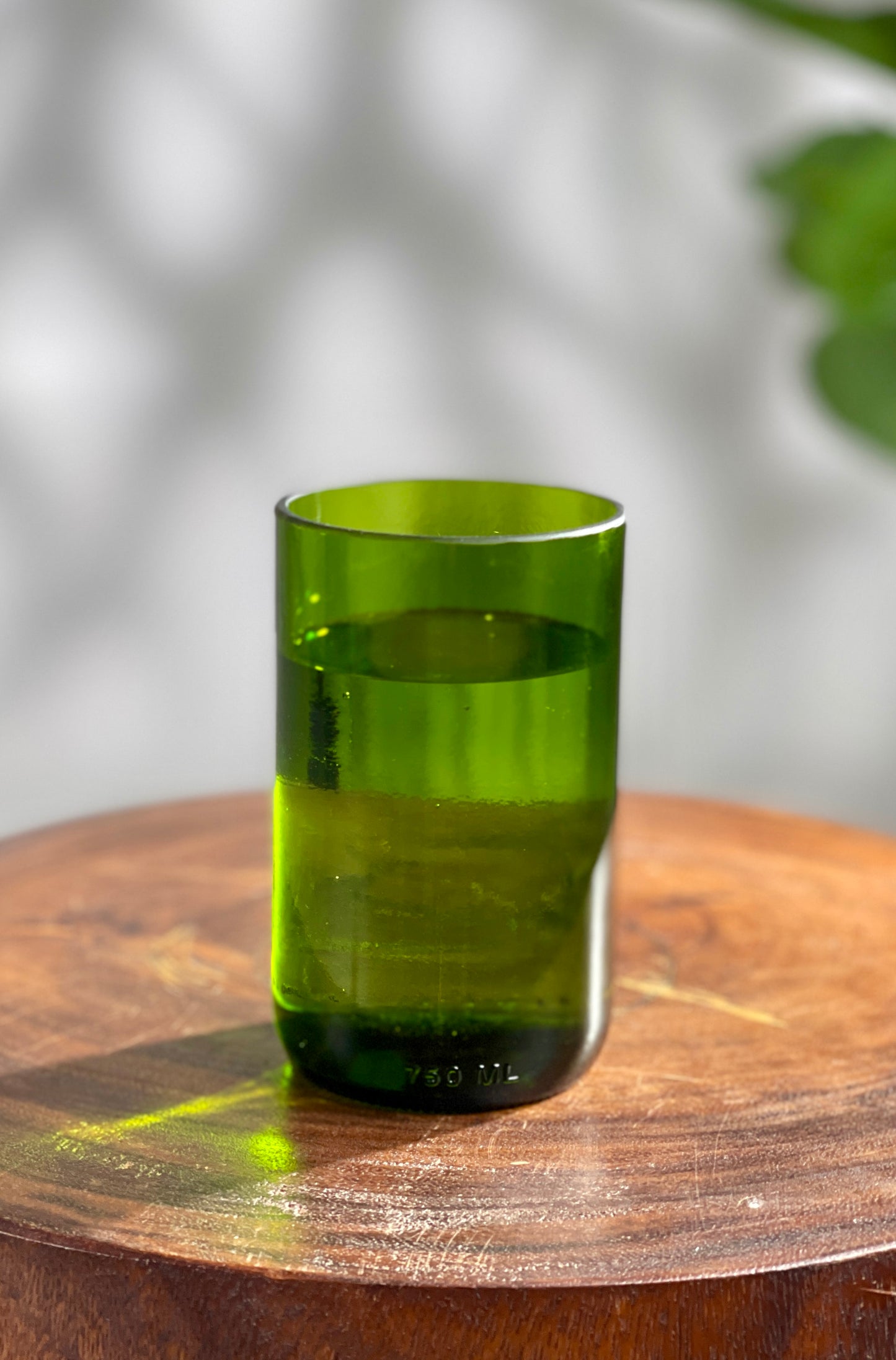 Propagation Vase